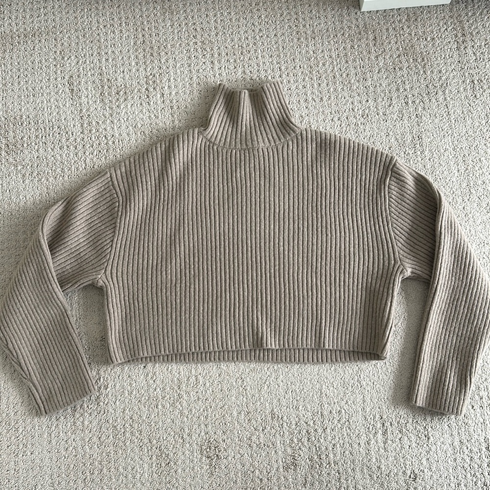 H&M cropped turtleneck sweater